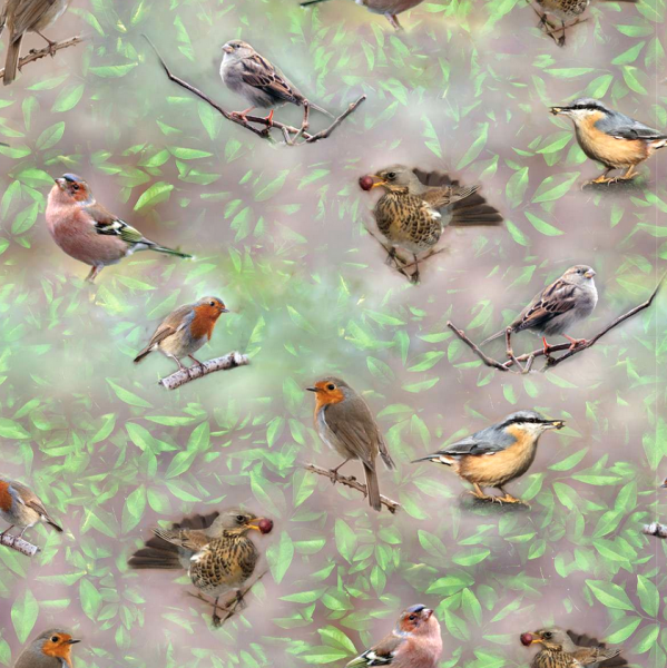 Vögel im Wald grau, Jersey, *Letztes Stück ca. 70 cm*