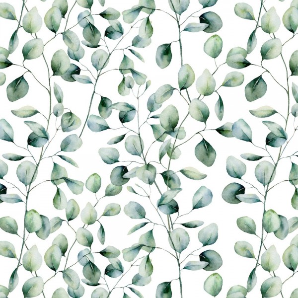 Eukalyptusblätter auf weiß, Sweat