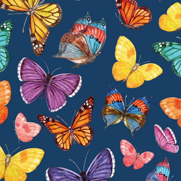 Softshell,Bunte Schmetterlinge auf dunkelblau