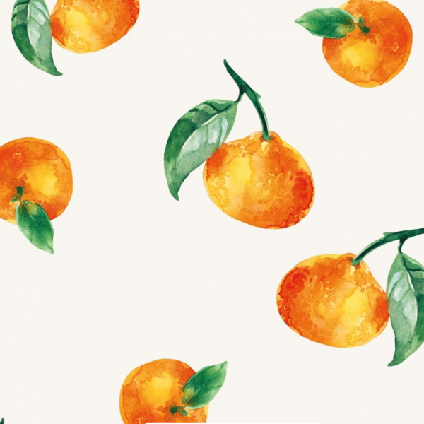 Digitaldruck Jersey, Fruits, Orangen auf offwhite