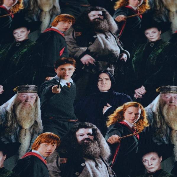 Harry Potter Figuren bunt auf schwarz, Jersey