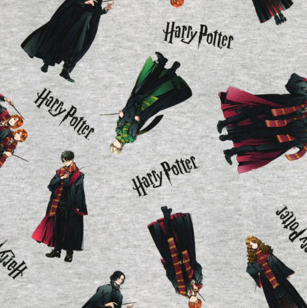 Jersey, Digitaldruck Harry Potter Figuren, grau-meliert