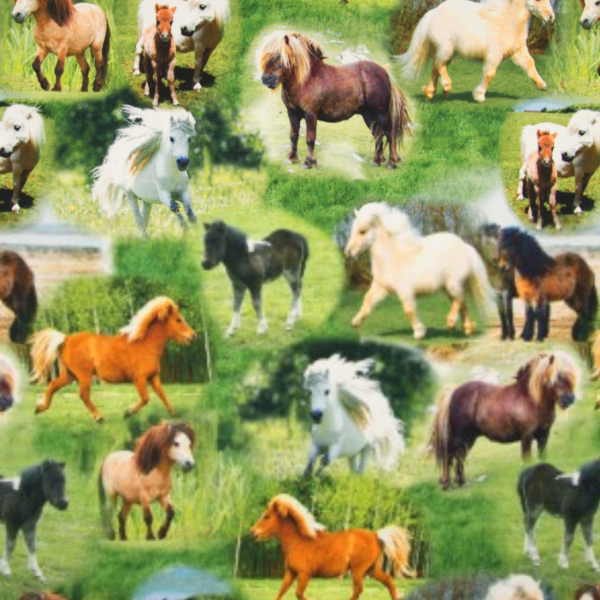 Digitaldruck Ponys auf der Wiese, Jersey